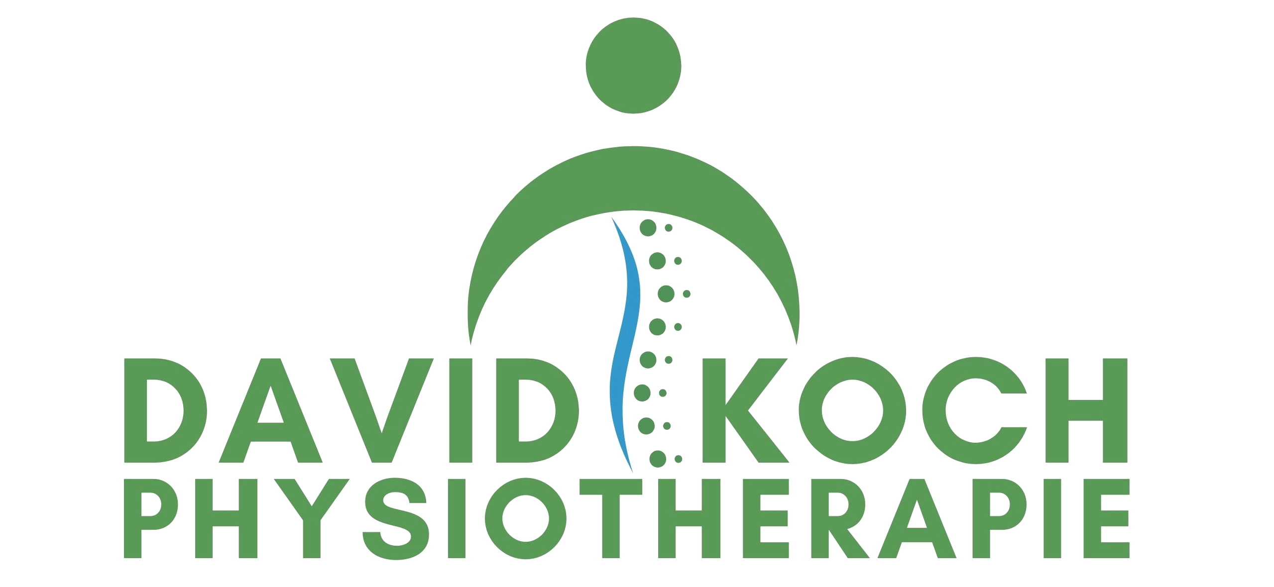 Logo David Koch Physiotherapie